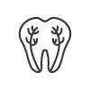 Jackson Wyoming Root Canal